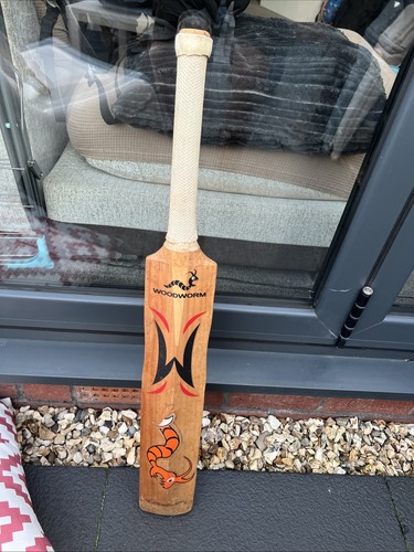 Woodworm the flame - flame, bat
