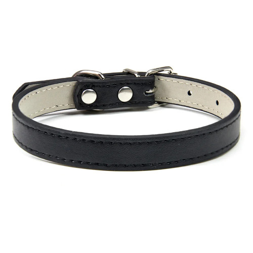 Vibrant genuine leather dog - vibrant,