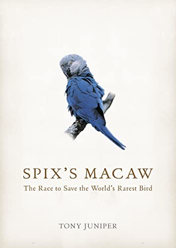 Spix macaw the race - macaw:, save