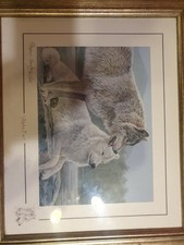 Stephen Gayford Alpha Pair