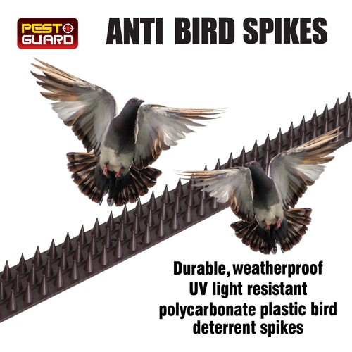 Wall fence anti bird spikes - wall,
