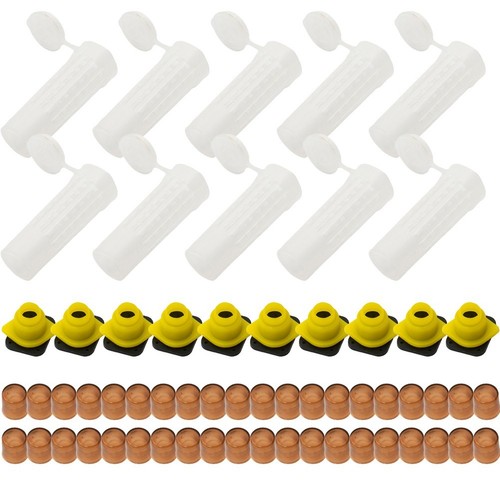 Bee queen rearing cupkit - bee,