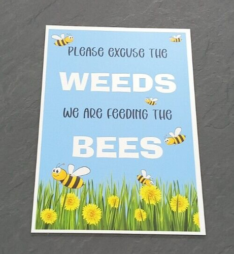 Bee sign excuse - bee,
