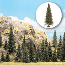 ASSORTED PINE TREES WITH ROOTS