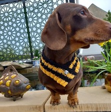 WOLVES Football Colours