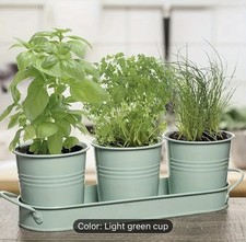 Indoor Herb Planters Tray