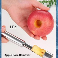 Stainless Steel Fruit Corer