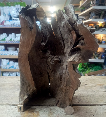 Sml med corbo root - sml/med,