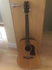 George Washburn Guitar D 10N