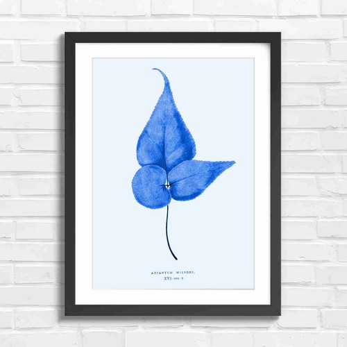Botanical fern leaf art blue - fern,