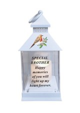 Brother Memorial Grave Robin