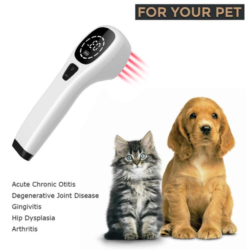 Cold laser therapy pain relief - pain,