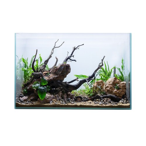 Swell glass aquarium - swell,