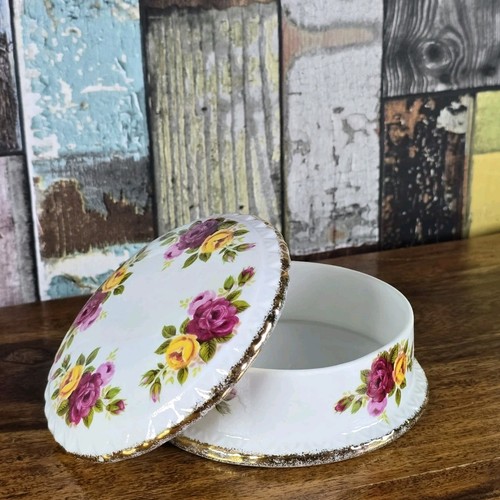 Vintage stunning cottage rose - stunning,