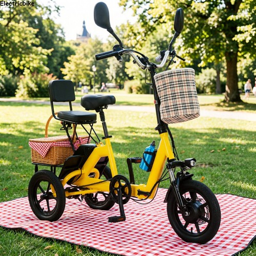 Electric folding bike speed - electric, 3-speed