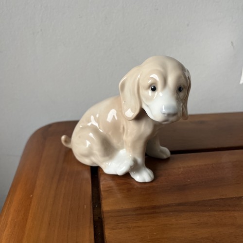 Vintage john buck labrador dog - john,