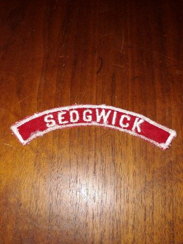 Vintage boy scout sedgwick - vintage,
