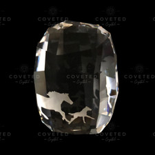 Swarovski Crystal SCS 2014