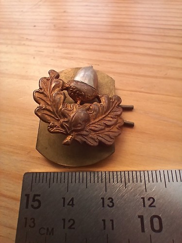 Vintage cheshire regiment - cheshire,