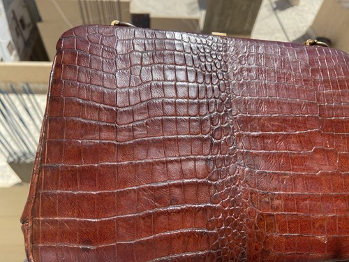 Vintage genuine crocodile - 50's,
