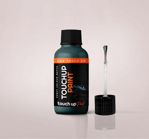 Touch paint for ford - touch,