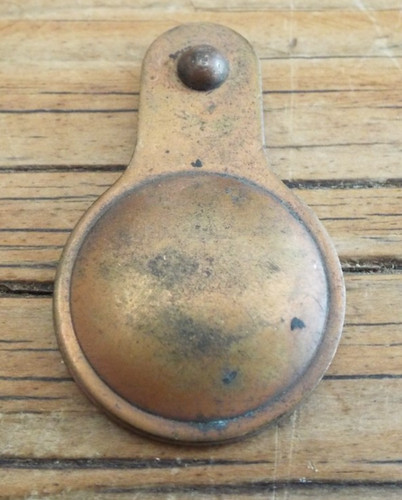 Recliamed original brass door - brass,