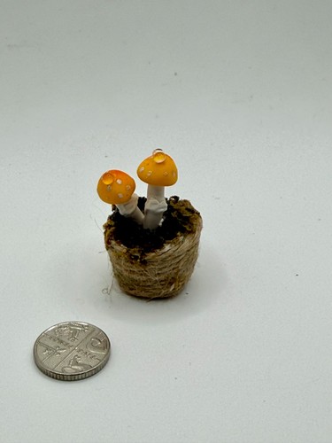 Dolls house 12th scale - dolls,