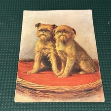 Vintage Dog Postcard The