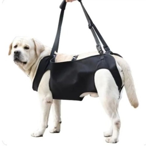 Adjustable strap dog - adjustable, lift