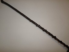 Blackthorn Walking Stick