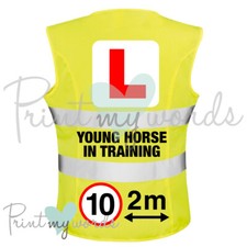 Ladies Hi Vis Equestrian