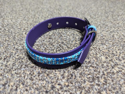 Waterproof dog collar - dog,