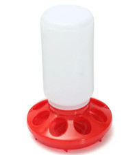 Chicken Poultry Feeder Drinker