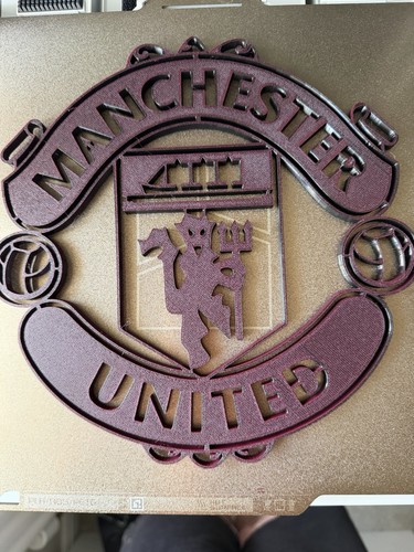Manchester united badge - fc, 3d