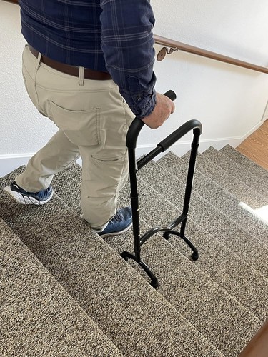 Stair climbing assist cane - climbing,