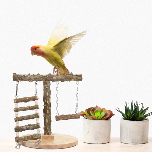 Parrot playstand bird - playstand, play