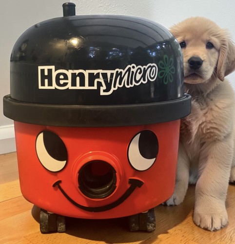 Henry micro hoover - henry,