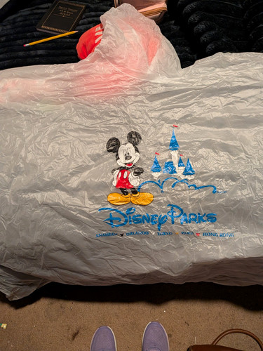 Disney parks mickey mouse - mickey,