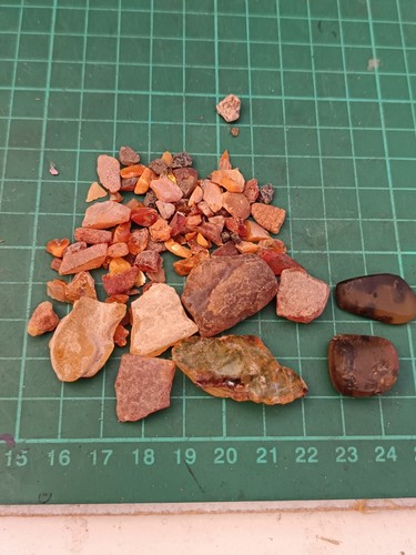 Baltic amber with - amber,