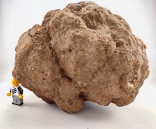 Unopened Geode Nodule Huge 12