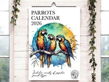 Parrots Calendar 2026-Bird