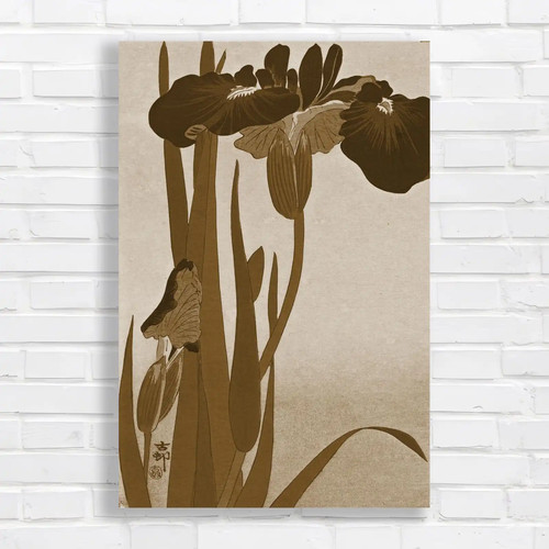 Beautiful iris flowers - flowers, sepia