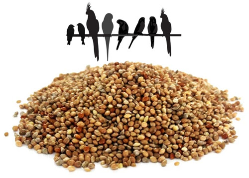 Mixed millet seed - millet, white