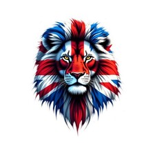 Glossy St George Cross England Union Jack Lion Stickers 3 sizes free postage