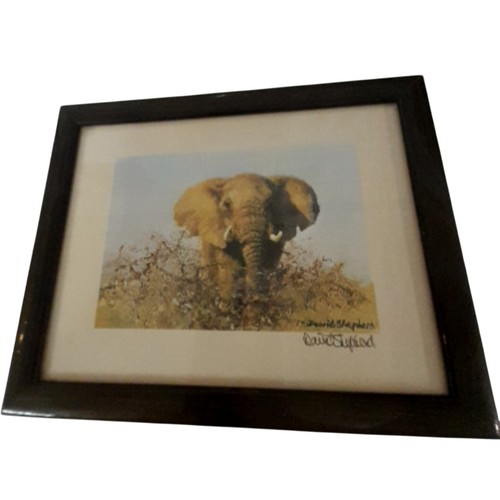 Art print elephant - elephant, david