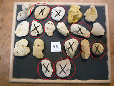 CORALS - CORAL B - MEDIUM -