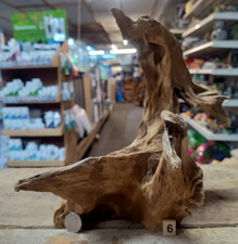 Derwen oak bogwood - oak,