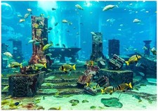 Aquarium Background Underwater