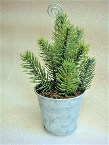 New tiny christmas tree - christmas, in