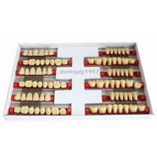 3sets Dental Full Mouth